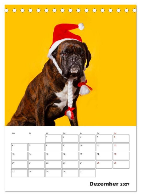 Produktbild: colorful world of boxer 2027 (Tischkalender 2027 DIN A5 hoch), CALVENDO Monatskalender