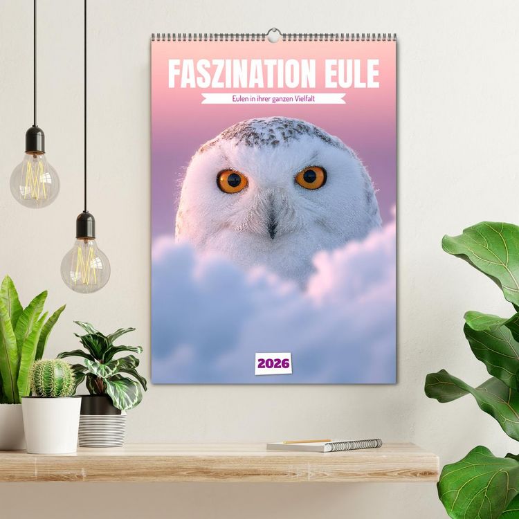 Produktbild: Faszination Eule - Eulen in ihrer ganzen Vielfalt (Wandkalender 2026 DIN A2 hoch), CALVENDO Monatskalender