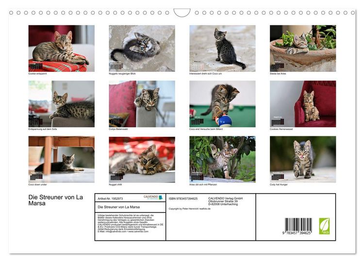 Produktbild: Die Streuner von La Marsa (Wandkalender 2026 DIN A3 quer), CALVENDO Monatskalender