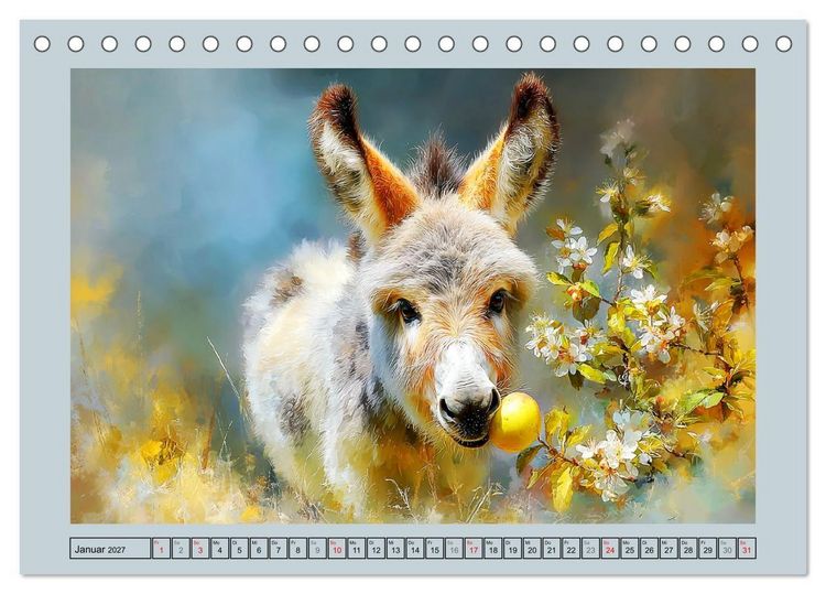 Produktbild: Zwergesel. Kleine Langohren mit gro&szlig;em Charme (Tischkalender 2027 DIN A5 quer), CALVENDO Monatskalender