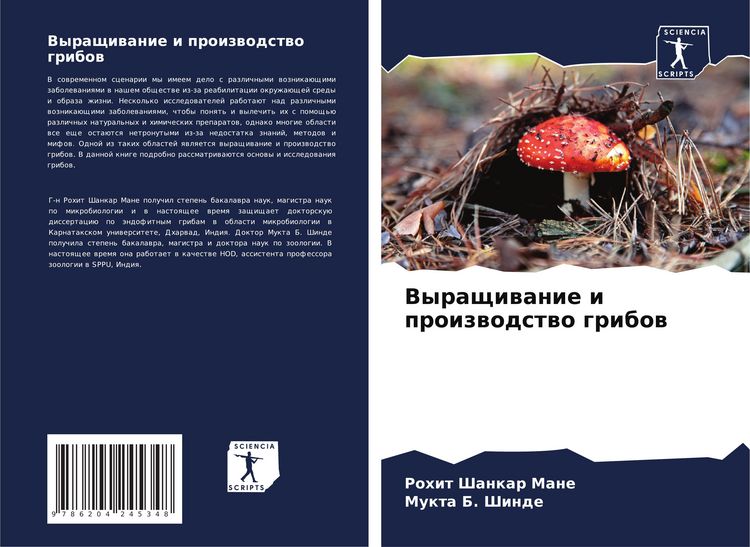 Produktbild: Vyraschiwanie i proizwodstwo gribow