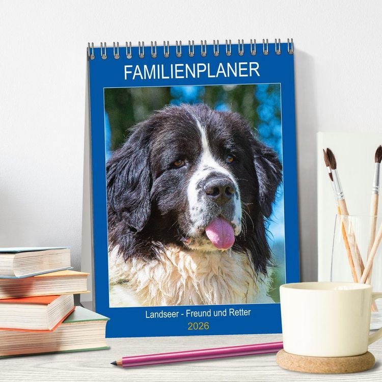 Produktbild: Familienplaner Landseer - Freund und Retter (Tischkalender 2026 DIN A5 hoch), CALVENDO Monatskalender