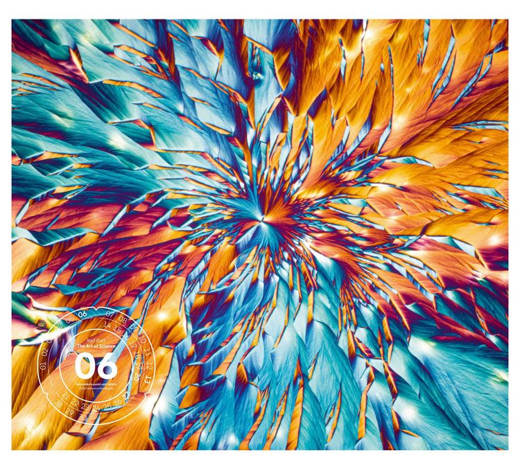 Produktbild: The Art of Science Kalender 2027 | Faszinierend-irisierende Mikroskopkunst