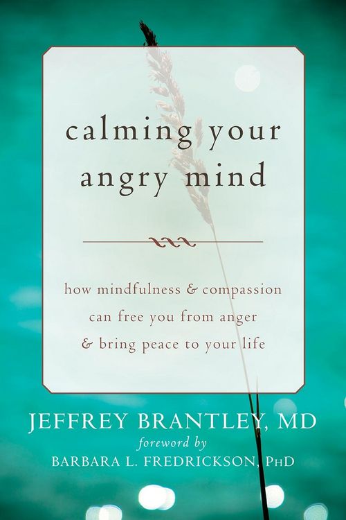 Produktbild: Calming Your Angry Mind