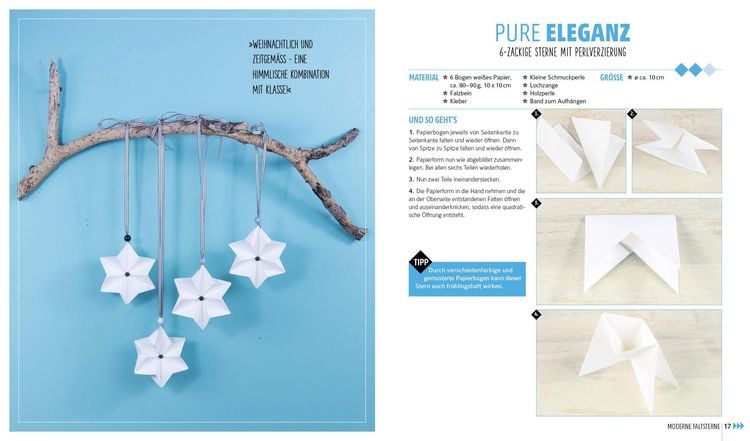 Produktbild: Weihnachtssterne? Gerne!