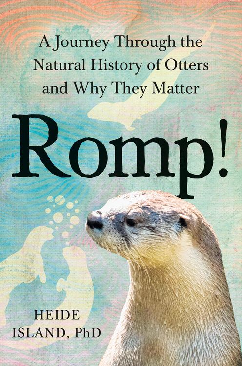 Produktbild: Romp!