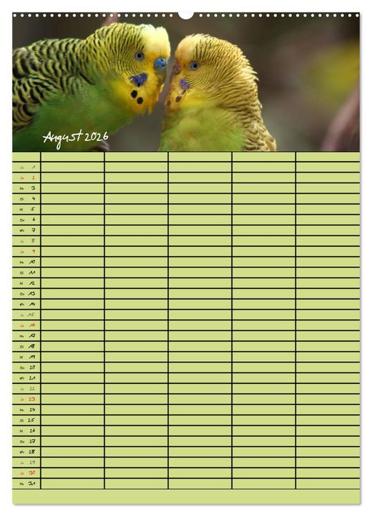 Produktbild: Der Wellensittich-Familienplaner (hochwertiger Premium Wandkalender 2026 DIN A2 hoch), Kunstdruck in Hochglanz