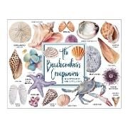 Produktbild: The Beachcomber's Companion Greeting Assortment Notecards