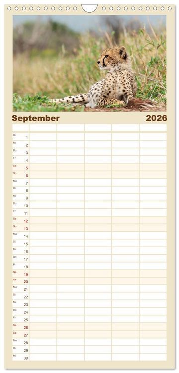 Produktbild: Familienplaner 2026 - S&uuml;dafrika wunderbare Tierwelt mit 5 Spalten (Wandkalender, 21 x 45 cm) CALVENDO