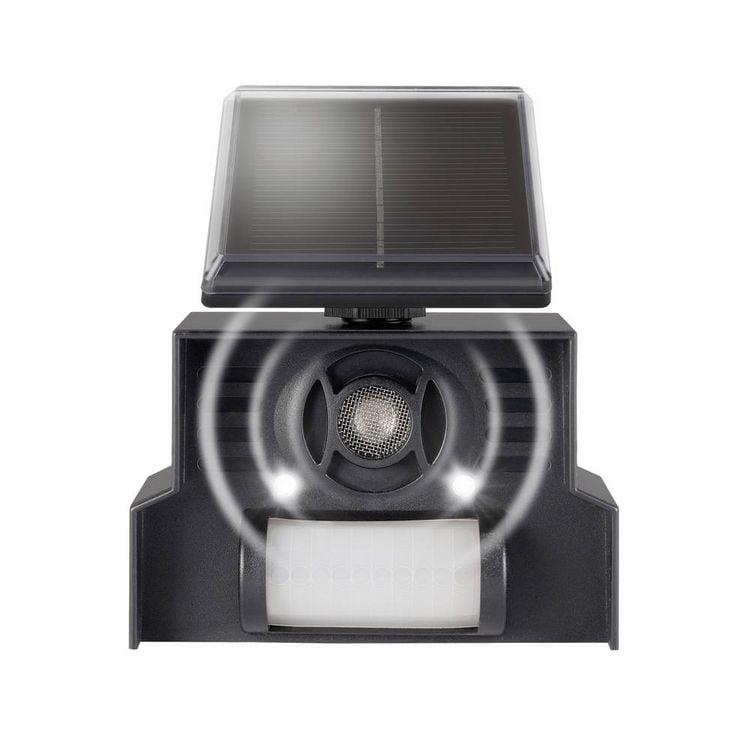 Produktbild: Gardigo Vogelvertreiber Funktionsart Solar, Ultraschall 1St.
