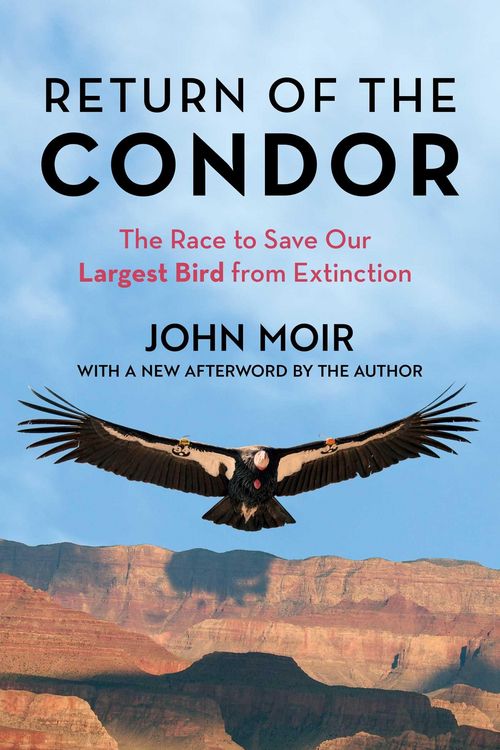 Produktbild: Return of the Condor