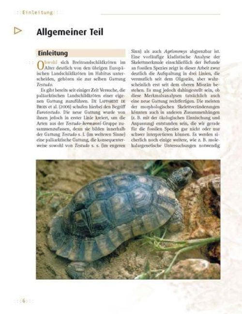 Produktbild: Die Breitrandschildkr&ouml;te