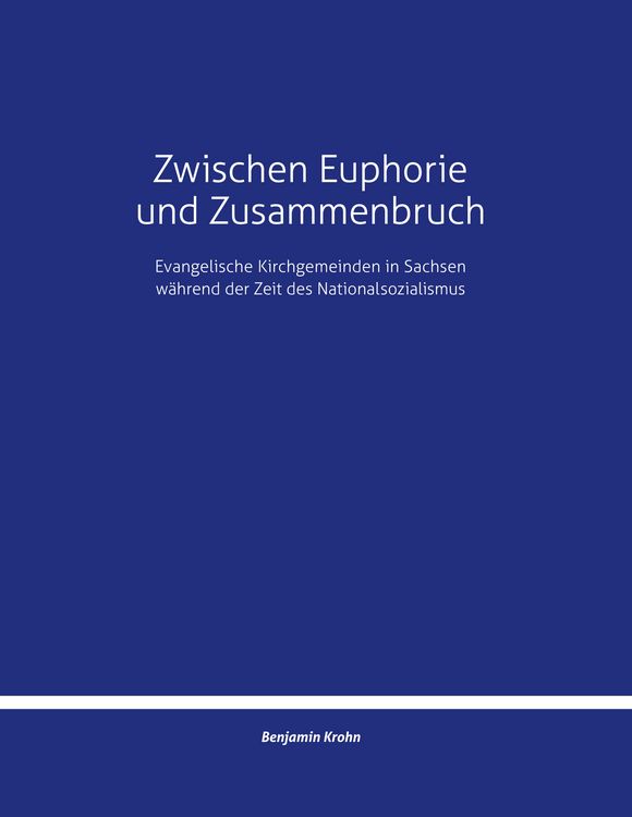 Produktbild: Zwischen Euphorie und Zusammenbruch