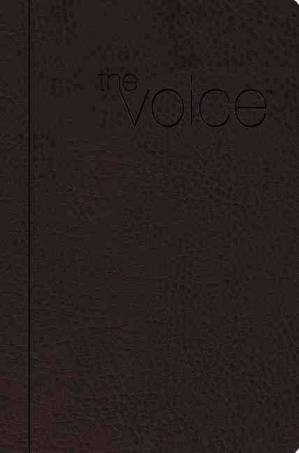 Produktbild: Voice Bible-VC: Step Into the Story of Scripture