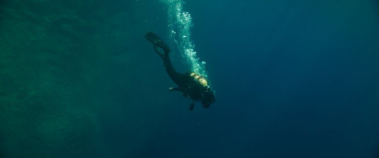 Produktbild: The Dive