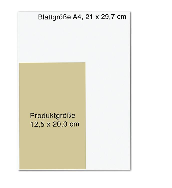 Das Immunbooster-Handbuch