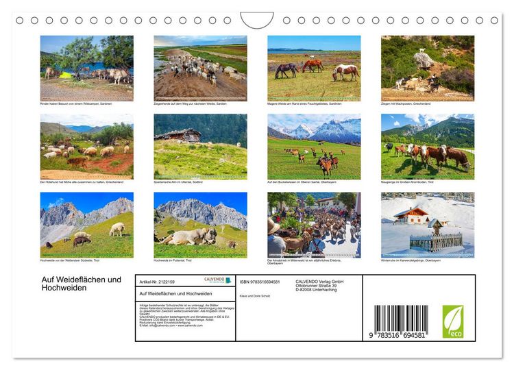 Produktbild: Auf Weidefl&auml;chen und Hochweiden (Wandkalender 2026 DIN A4 quer), CALVENDO Monatskalender