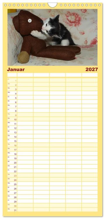 Produktbild: Familienplaner 2027 - Die Launen der Katzen 2027 mit 5 Spalten (Wandkalender, 21 x 45 cm) CALVENDO