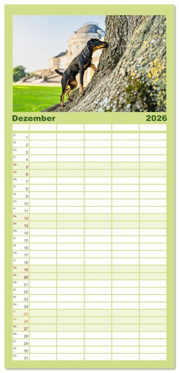 Produktbild: Familienplaner 2026 - Deutscher Terrier - ein leidenschaftlicher J&auml;ger mit 5 Spalten (Wandkalender, 21 x 45 cm) CALVENDO