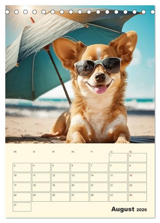 Produktbild: Witzige Chihuahuas. Gl&uuml;ckliche Temperamentb&uuml;ndel (Tischkalender 2026 DIN A5 hoch), CALVENDO Monatskalender