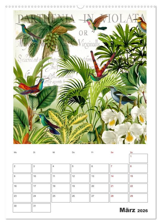 Produktbild: Das Paradies der Kolibris (Wandkalender 2026 DIN A2 hoch), CALVENDO Monatskalender