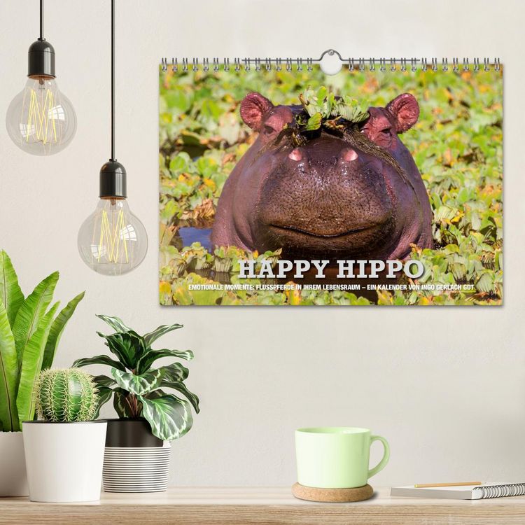 Produktbild: Emotionale Momente. Happy Hippo / CH-Version (Wandkalender 2026 DIN A4 quer), CALVENDO Monatskalender