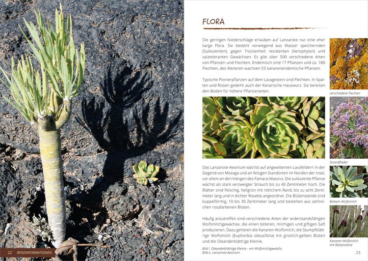 Produktbild: Wanderf&uuml;hrer Lanzarote &ndash; Reisezeit &ndash; GEQUO Verlag