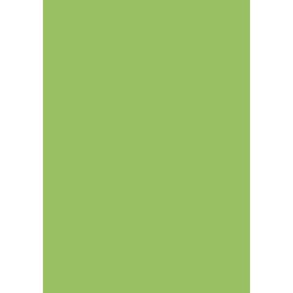 Produktbild: Tonpapier | A4, 130 g/m&sup2;, grasgr&uuml;n