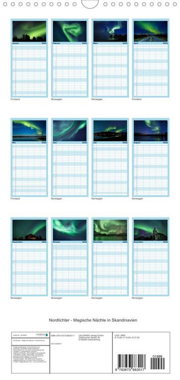 Produktbild: Familienplaner Nordlichter - Magische N&auml;chte in Skandinavien (Wandkalender 2022 , 21 cm x 45 cm, hoch)