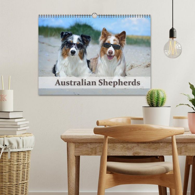 Produktbild: Wunderbare Australian Shepherds (Wandkalender 2026 DIN A3 quer), CALVENDO Monatskalender