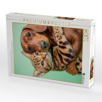 Produktbild: CALVENDO Puzzle Ein Dackel umarmt eine Bengalkatze und zeigt wahre Tierfreundschaft | 1000 Teile Lege-Gr&ouml;&szlig;e 64x48cm Foto-Puzzle f&uuml;r gl&uuml;ckliche Stunden