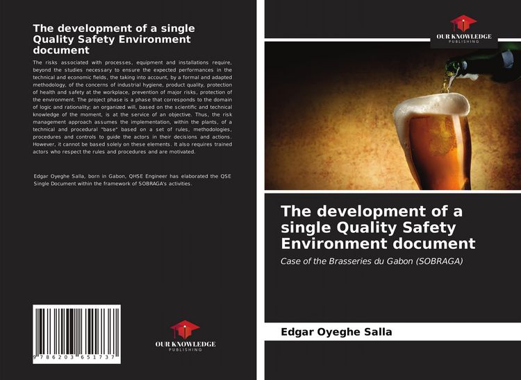 Produktbild: The development of a single Quality Safety Environment document