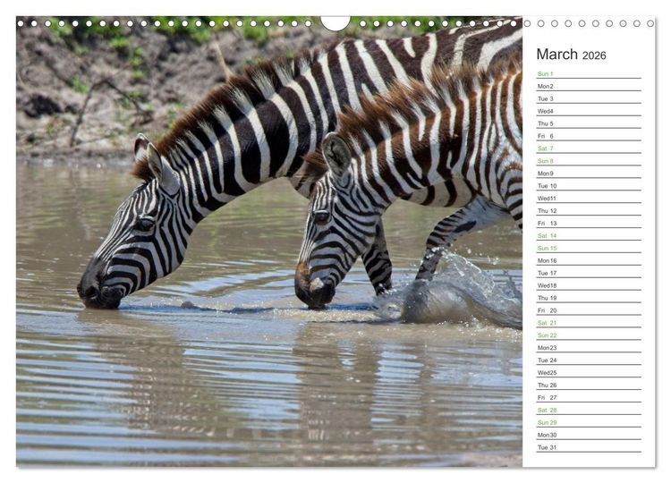 Produktbild: Kenya - its Wildlife (Wall Calendar 2026 DIN A3 landscape), CALVENDO 12 Month Wall Calendar