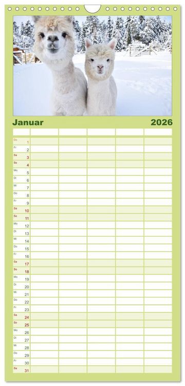 Produktbild: Familienplaner 2026 - Alpakas zum Verlieben mit 5 Spalten (Wandkalender, 21 x 45 cm) CALVENDO