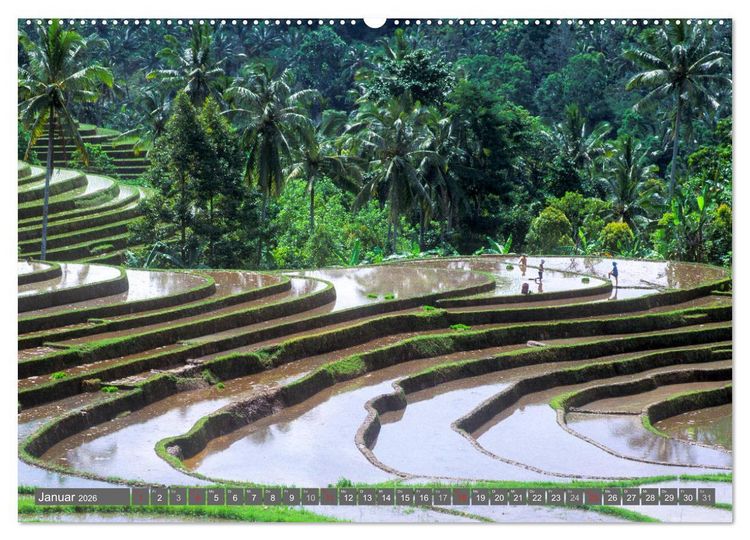 Produktbild: Peter Fischer - Bali 2026 (hochwertiger Premium Wandkalender 2026 DIN A2 quer), Kunstdruck in Hochglanz