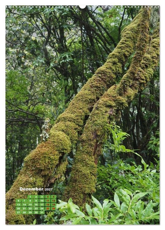 Produktbild: Levadas auf Madeira. Wildromantische Wanderwege (Wandkalender 2027 DIN A2 hoch), CALVENDO Monatskalender