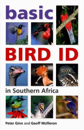 Produktbild: Basic Bird ID in Southern Africa