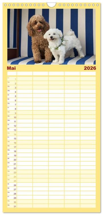 Produktbild: Familienplaner 2026 - Maltipoo - Malteser -Pudel mit 5 Spalten (Wandkalender, 21 x 45 cm) CALVENDO