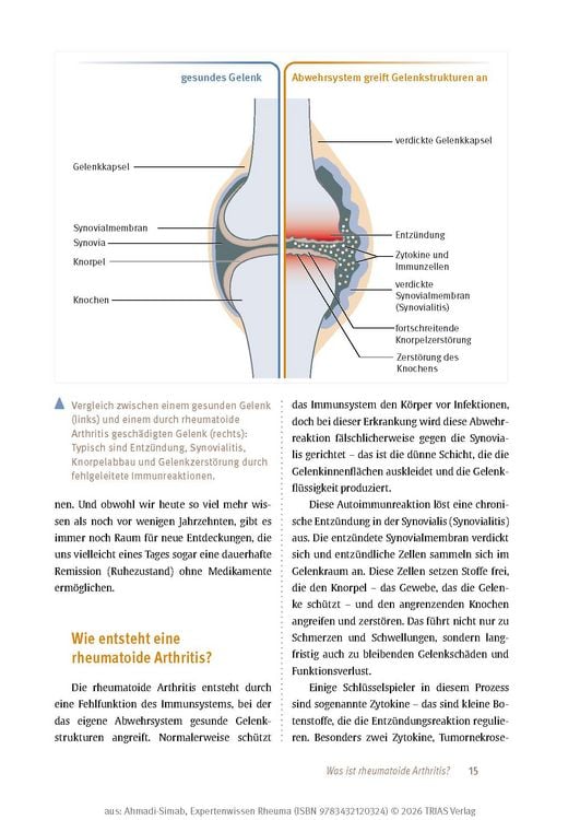 Produktbild: Expertenwissen: Rheuma