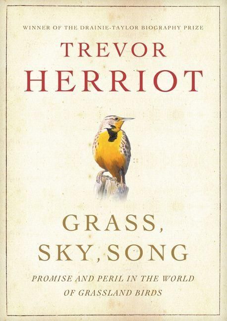 Produktbild: Grass, Sky, Song