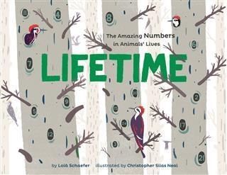Produktbild: Lifetime