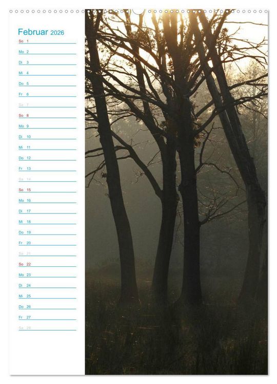 Produktbild: Wunderbarer Spreewald (Wandkalender 2026 DIN A2 hoch), CALVENDO Monatskalender