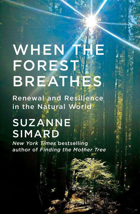 Produktbild: When the Forest Breathes