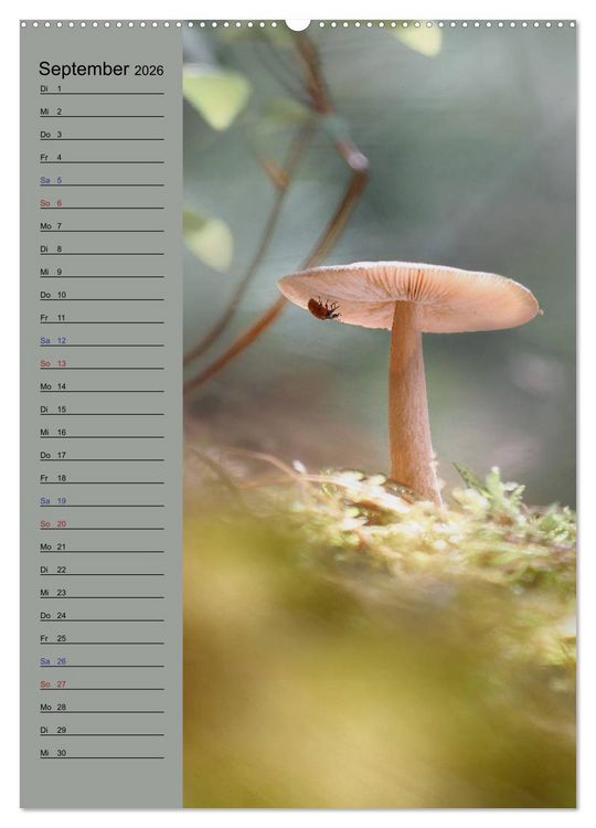 Produktbild: Pastell-Zauber (Wandkalender 2026 DIN A2 hoch), CALVENDO Monatskalender