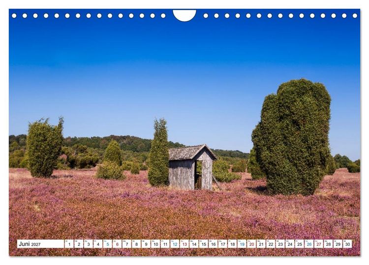 Produktbild: L&uuml;neburger Heide &ndash; Im Wandel der Jahreszeiten (Wandkalender 2027 DIN A4 quer), CALVENDO Monatskalender