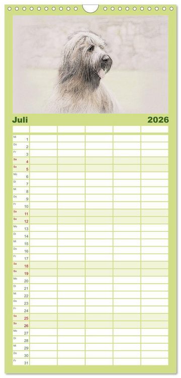 Produktbild: Familienplaner 2026 - Franz&ouml;sische Hirtenhunde 2026 mit 5 Spalten (Wandkalender, 21 x 45 cm) CALVENDO