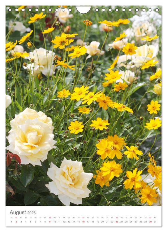 Produktbild: Gl&uuml;cklich mit Rosen (Wandkalender 2026 DIN A4 hoch), CALVENDO Monatskalender
