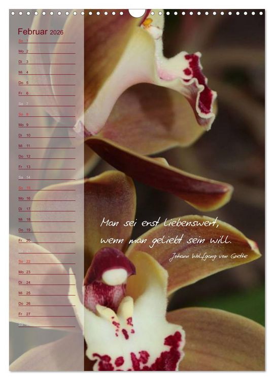 Produktbild: Blumen & Zitate / Geburtstagskalender (Wandkalender 2026 DIN A3 hoch), CALVENDO Monatskalender