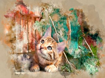 Produktbild: Die junge Katze unter m Zaun (Puzzle)