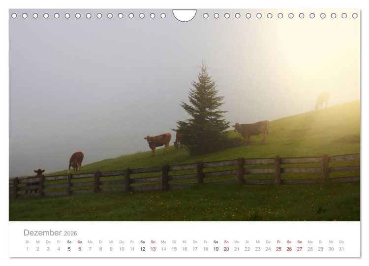 Produktbild: Tiere in Freiheit - Nutztiere auf der Alm (Wandkalender 2026 DIN A4 quer), CALVENDO Monatskalender